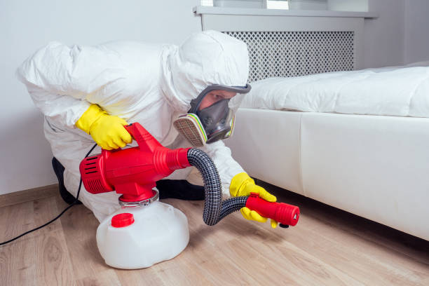 Best Commercial Pest Control Services  in Rochester, IL